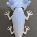 Axolotl đầu khớp (Articulated) – tương thích mắt kính 6mm + 8mm - Thumbnail 8