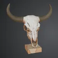 Hộp sọ trâu (Buffalo Skull) – đồ trang trí văn phòng - Thumbnail 1