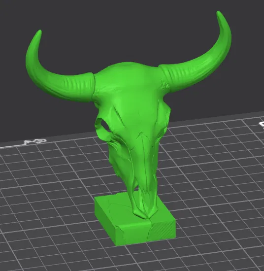 Hộp sọ trâu (Buffalo Skull) – đồ trang trí văn phòng - Image 2