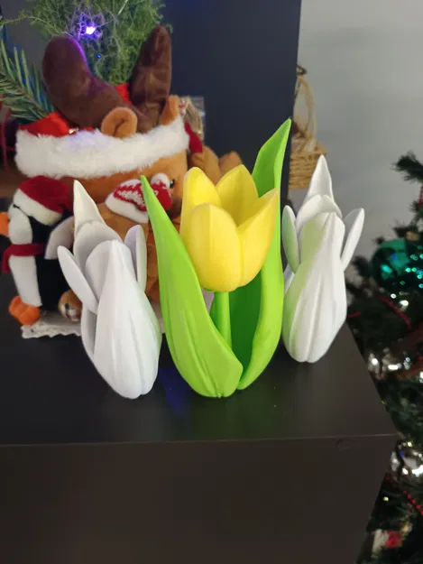 Kwiat tulipanu (hoa tulip) - Image 3