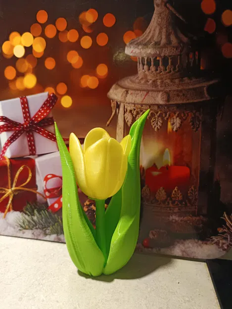 Kwiat tulipanu (hoa tulip) - Image 5