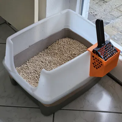 Muỗng xúc cát vệ sinh cho mèo có đế