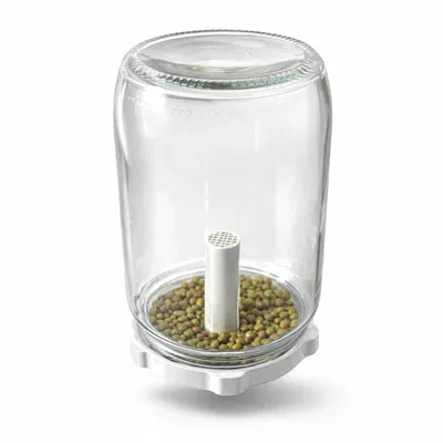 Nắp ươm mầm cho hũ – Jar Lid Sprouter (Seed Germination Cap TO82)
