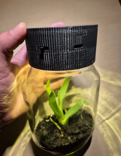 Đèn cây trong nhà LED sạc lại từ chai Nutella - Image 2