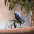 The Bird (Chim) - Thumbnail 3