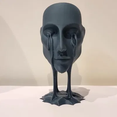 The face – Gương mặt