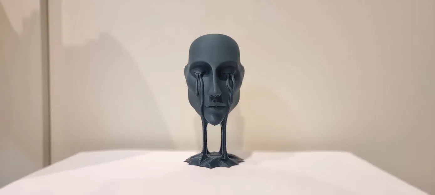 The face – Gương mặt - Image 2