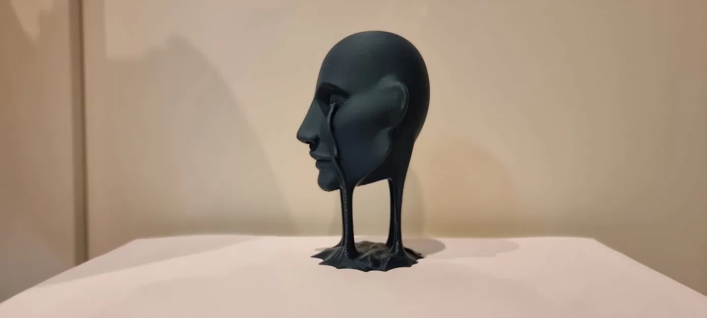 The face – Gương mặt - Image 3