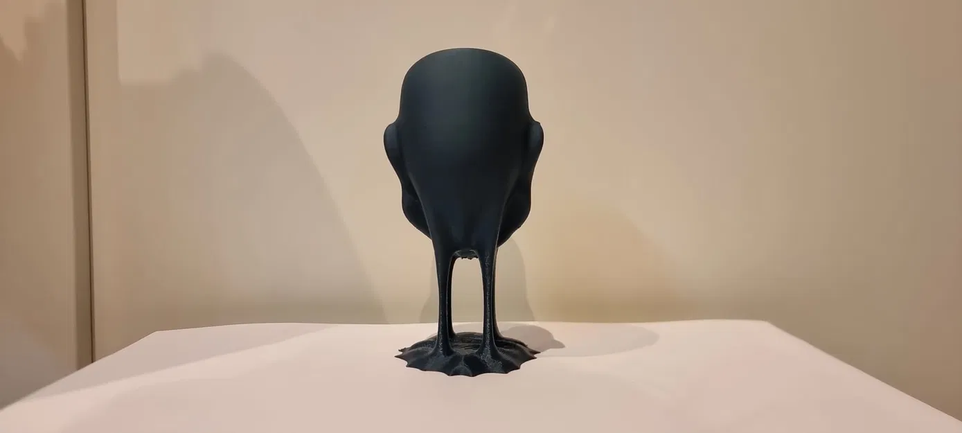 The face – Gương mặt - Image 4