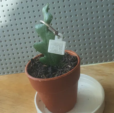 Windows Terminal – Móc khóa biểu tượng Terminal