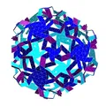 ROELOFS 2.0 ICOSIDODECAHEDRAL POLYKNOT 1 - Thumbnail 1