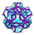 ROELOFS STAR DODECAHEDRAL POLYKNOT 6 - Thumbnail 2