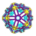 STEWART RADIAL DODECAHEDRAL POLYTOROID 2 - Thumbnail 1