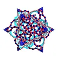 ESCHER STAR DODECAHEDRAL POLYKNOT 18 - Thumbnail 2