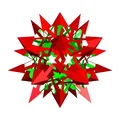 ESCHER 2.0 STAR ICOSIDODECAHEDRAL POLYKNOT 1 - Thumbnail 2
