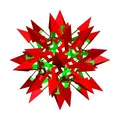 ESCHER 2.0 STAR SNUB CUBIC POLYKNOT 1 - Thumbnail 2