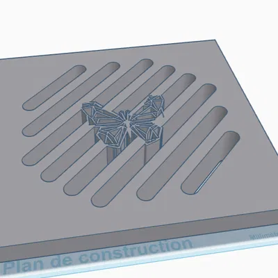 Grille papillon égout (lưới papillon cho hố ga/regard 20x20)