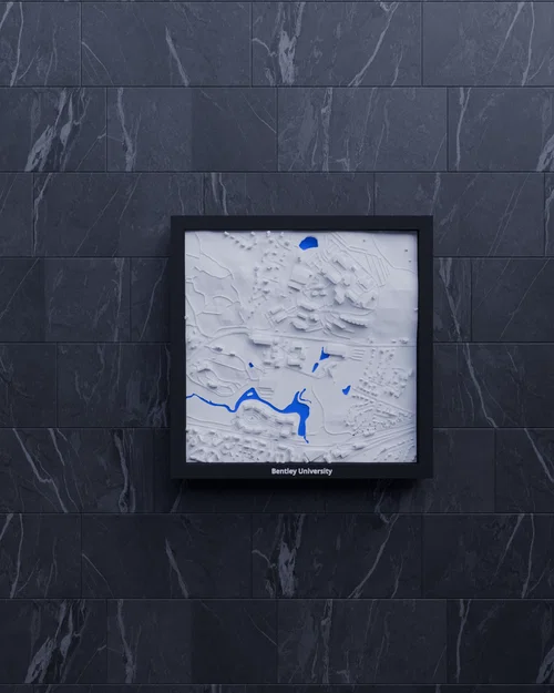 Bentley University (Hoa Kỳ) - Mô hình thu nhỏ 3D - Image 1