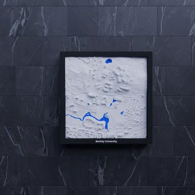 Bentley University (Hoa Kỳ) - Mô hình thu nhỏ 3D