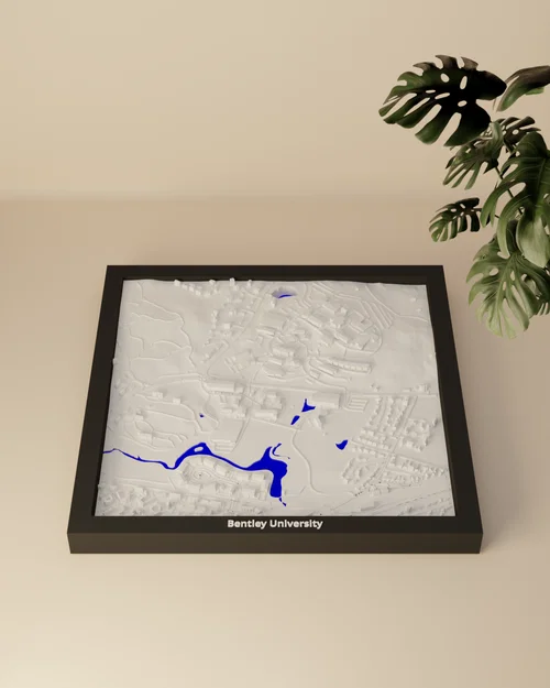 Bentley University (Hoa Kỳ) - Mô hình thu nhỏ 3D - Image 3