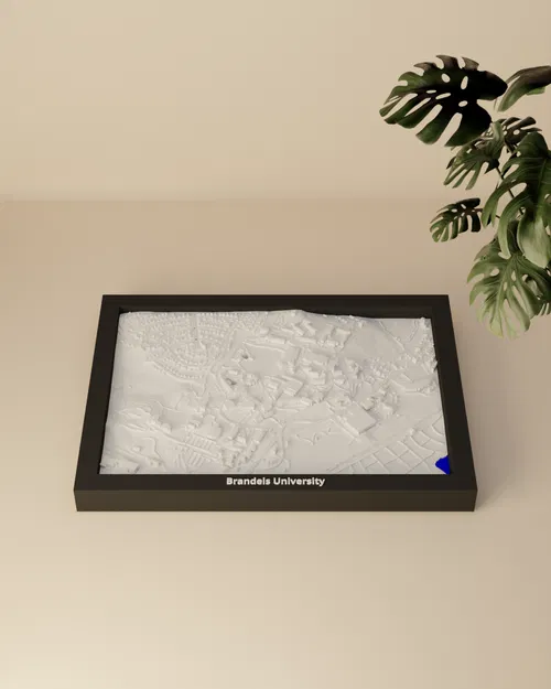 Brandeis University, Hoa Kỳ - Mô hình 3D Mini - Image 2