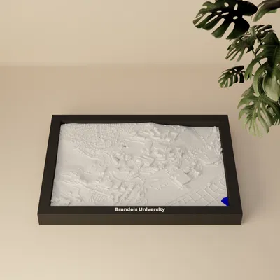 Brandeis University, Hoa Kỳ - Mô hình 3D Mini