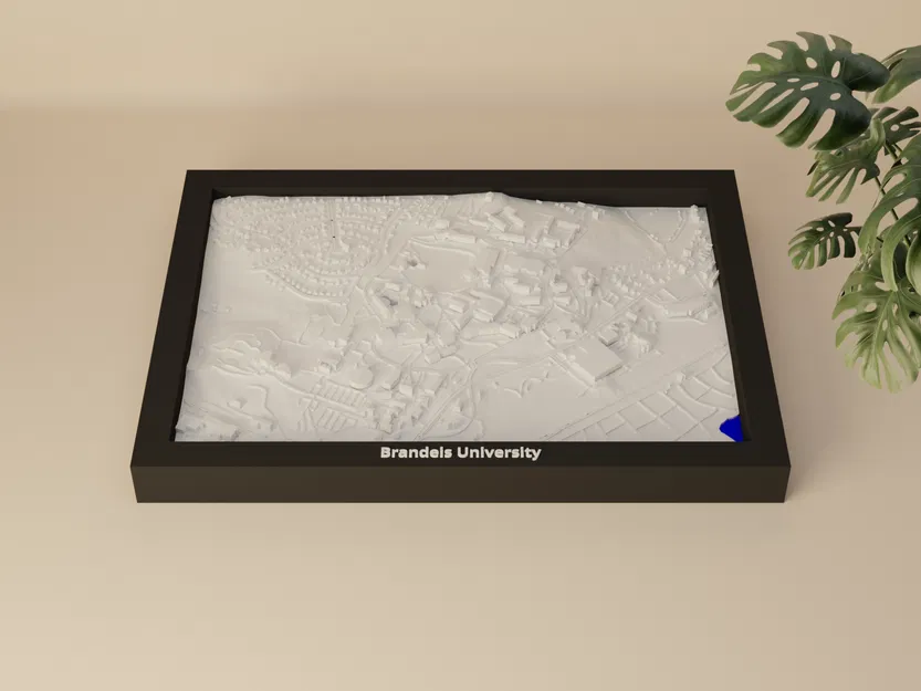 Brandeis University, Hoa Kỳ - Mô hình 3D Mini - Image 3