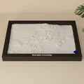 Brandeis University, Hoa Kỳ - Mô hình 3D Mini - Thumbnail 3