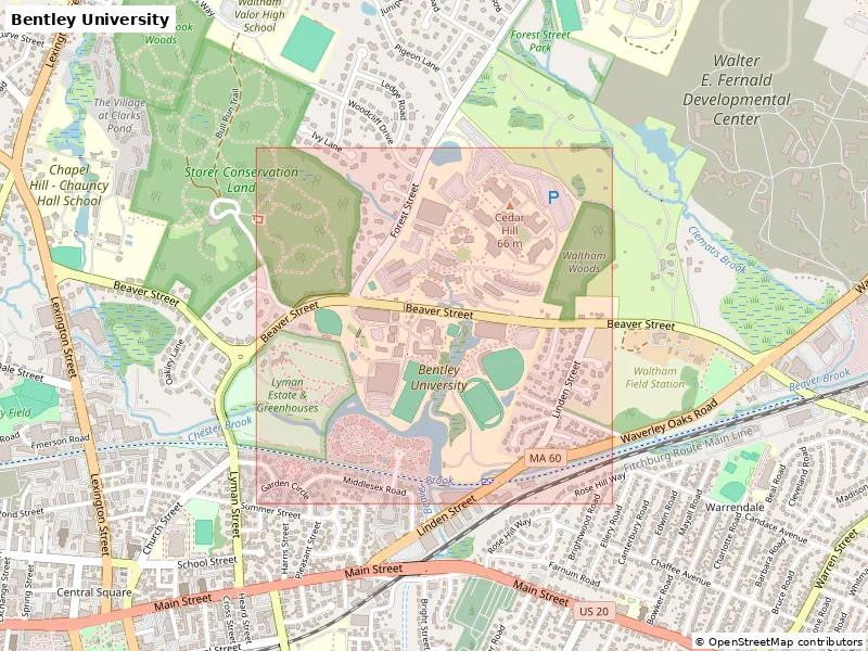 Bentley University (Hoa Kỳ) - Mô hình thu nhỏ 3D - Image 8