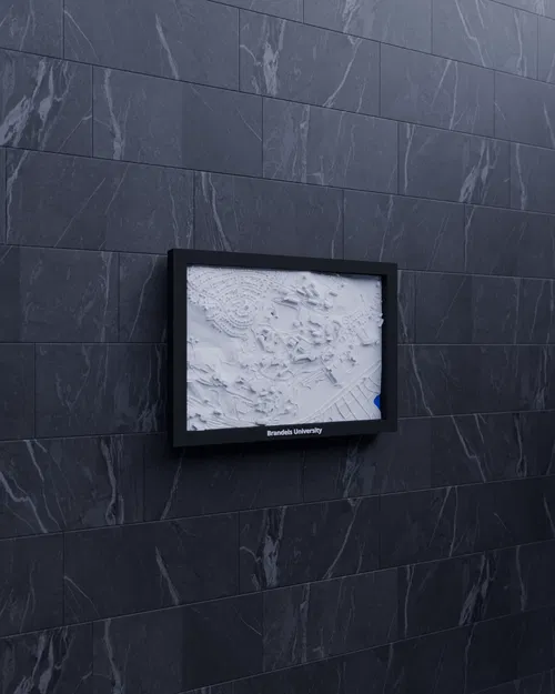 Brandeis University, Hoa Kỳ - Mô hình 3D Mini - Image 5