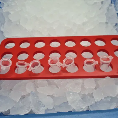 Rack ống nghiệm cho thùng đá (Tube rack for ice bucket)