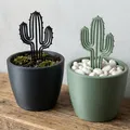 Cọc Cắm Xương Rồng Hiện Đại - Decor Cây Tối Giản - Thumbnail 1