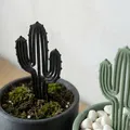 Cọc Cắm Xương Rồng Hiện Đại - Decor Cây Tối Giản - Thumbnail 3