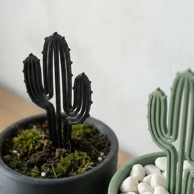 Cọc Cắm Xương Rồng Hiện Đại - Decor Cây Tối Giản