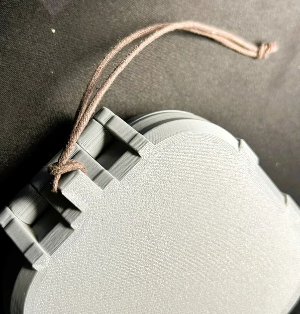 Hộp bảo vệ bền chắc cho lon pellet súng hơi (airgun) 500 viên - Image 5