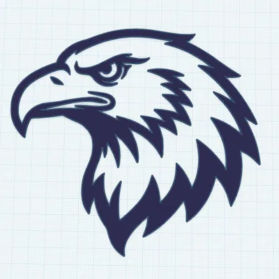 Trang trí tường hình đại bàng / wallart