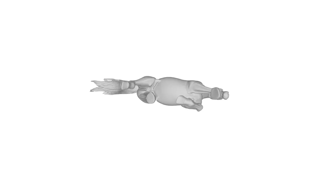 Ngựa đang chạy - Image 3