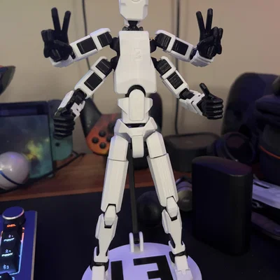 Dummy 13 Thân (Torso) 4 Tay