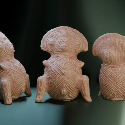 Venus của Tacarigua