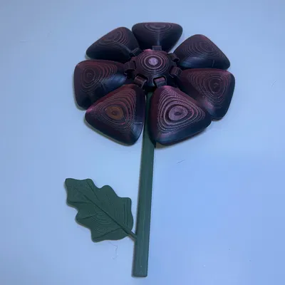 Kinetic Flexi Flower Spinner – Hoa Flexi Kinetic Quay Vòng Bi