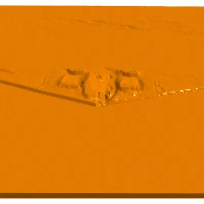 B2 Stealth Bomber Extrusion