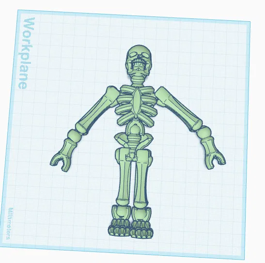 Bộ xương (skeleton) - Image 1