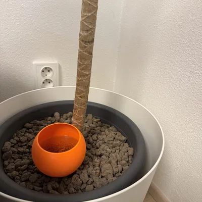 Chậu trồng cây tự tưới nước (Self watering planter)