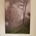 Ngàm nam châm tháo rời treo tường cho ảnh kim loại 45x32cm (displate.com) - Thumbnail 2
