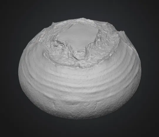 Bánh mì artisan (bread) - Image 2