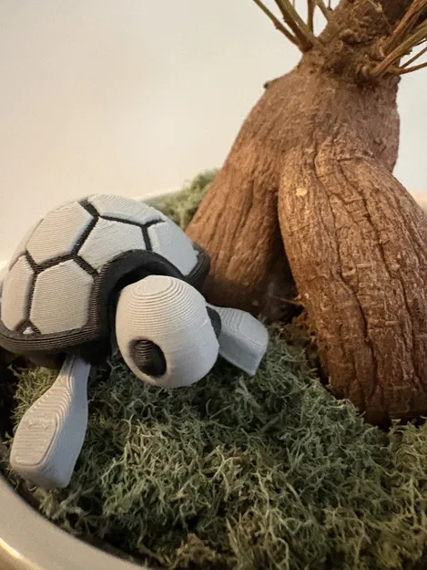 Bé Rùa Con Dễ Thương Nhiều Màu (Remix) - Image 1