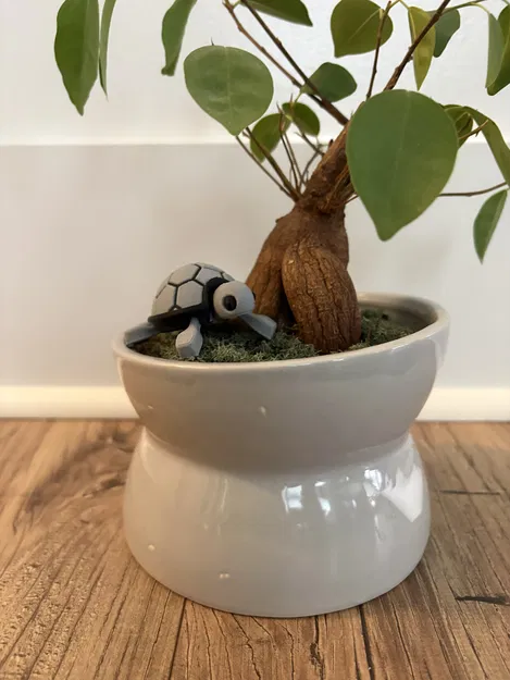 Bé Rùa Con Dễ Thương Nhiều Màu (Remix) - Image 2