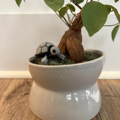 Bé Rùa Con Dễ Thương Nhiều Màu (Remix)