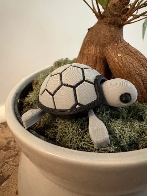 Bé Rùa Con Dễ Thương Nhiều Màu (Remix) - Image 3