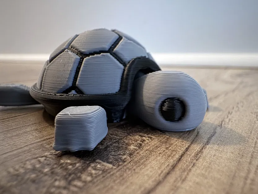 Bé Rùa Con Dễ Thương Nhiều Màu (Remix) - Image 4